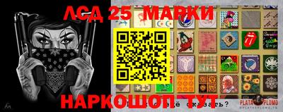 гидропоника Камень-на-Оби