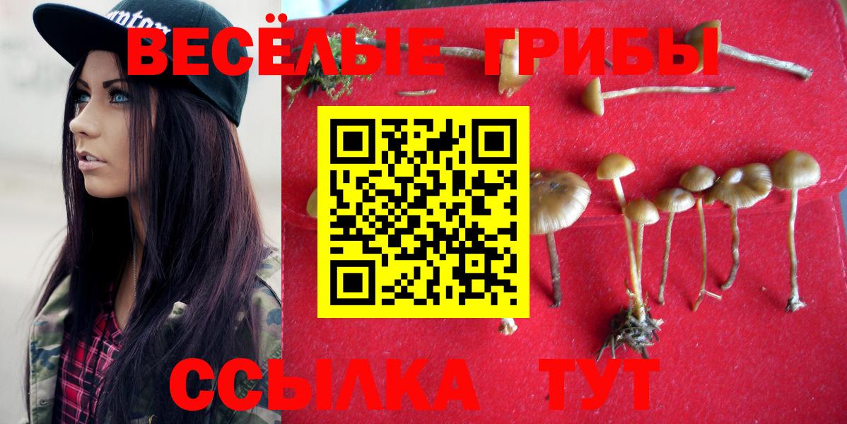 Псилоцибиновые грибы Psilocybe  Вход с VPN  Мариинск 