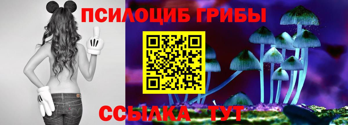 Галлюциногенные грибы прущие грибы Мариинск